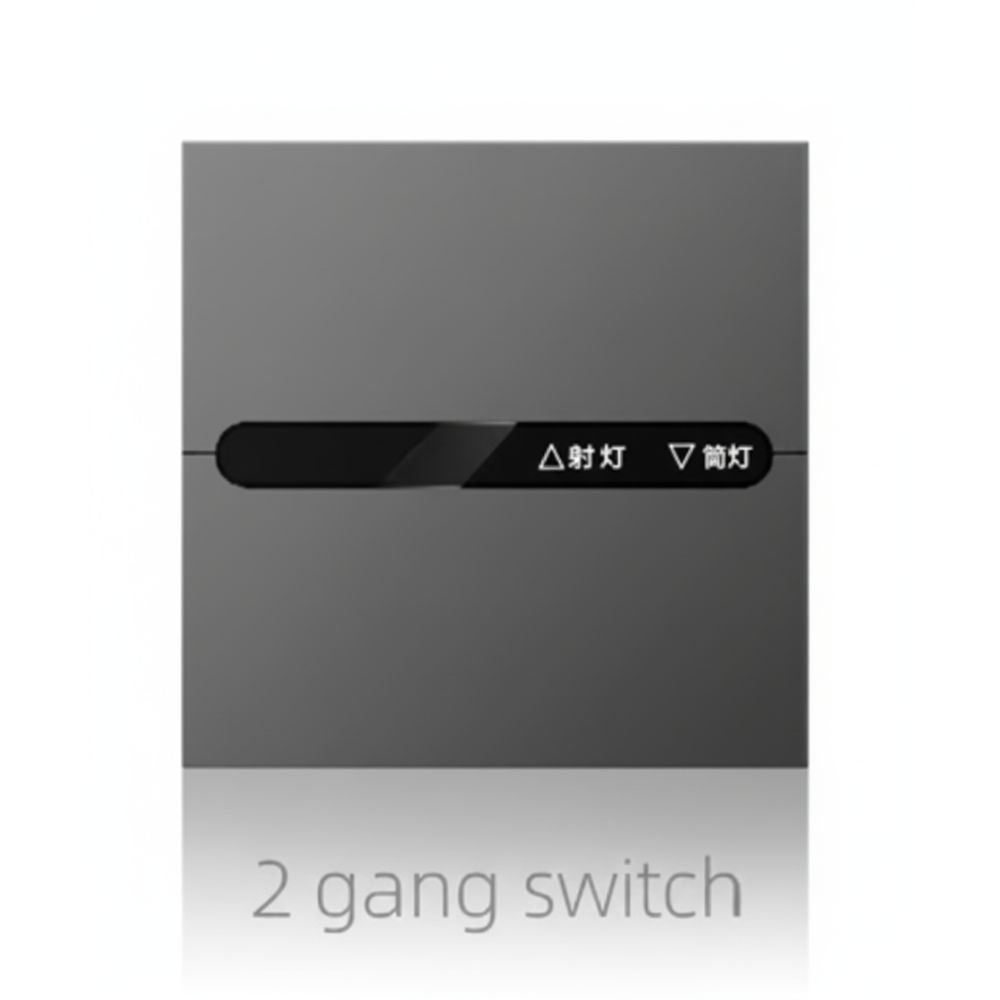 M12 IoT Smart Switch - 2 Gang Switch.